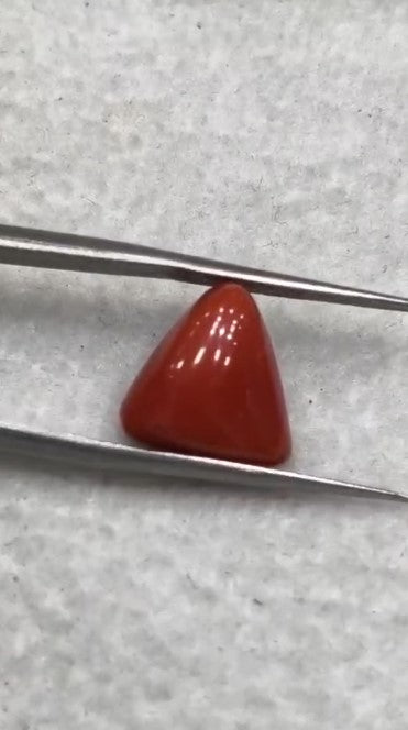 Natural Italian Red Coral (Moonga) 7.72 carats