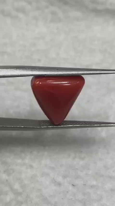 Natural Italian Red Coral (Moonga) 7.72 carats