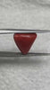 Natural Italian Red Coral (Moonga) 7.72 carats